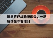 爱游戏平台体验-汉堡将迎战勒沃库森，一场硬仗在等着他们 